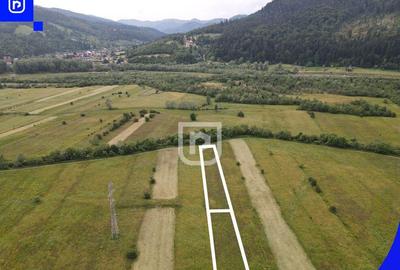 Teren Vorone? | Gura Humorului | Suceava - Bucovina - 28... - 2