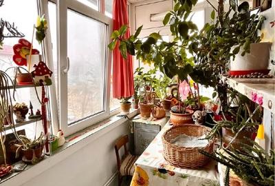 Apartament cu 3 camere decomandat în Nicolina - 7