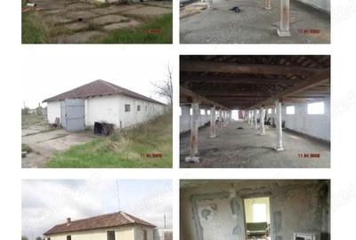 Inchiriez hale 7000 mp si teren intravilan 70000 mp - 5