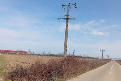 Spațiu comercial, în Apa - 7