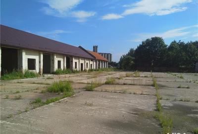 Teren de 10774 mp, în Lugoj - 4