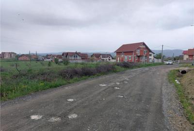 RECO Teren 4935mp in Beius RECO Teren 4935mp in Beius - 1