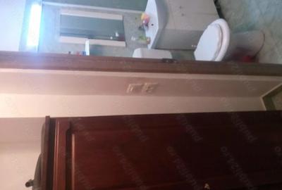 Garsoniera de inchiriat Arad - 5