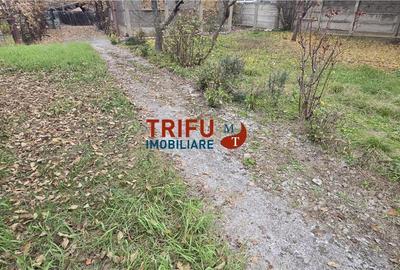 Teren Ideal pentru Locuinte in Cetate - Oportunitate Unica! - 1