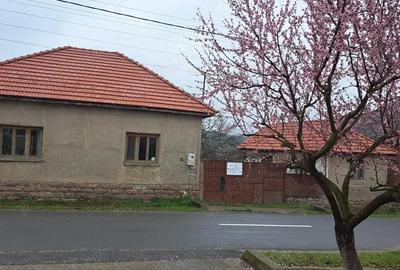 Casă cu 2 camere cu Teren 2200 Mp în Urviș de Beiuș - 7