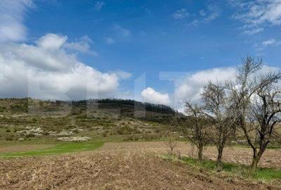 Teren de 1500 mp, în Șoimuș - 1