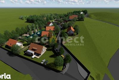 Teren de 1000 mp, în Făget - 3