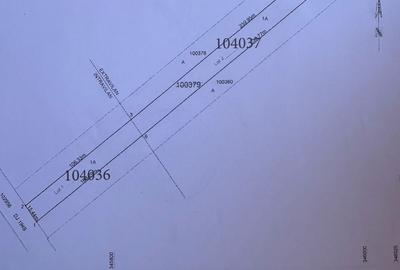 Spațiu comercial, în Micula - 2