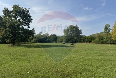 Teren Construcții intravilan de 10000 mp, în Călățele - 8