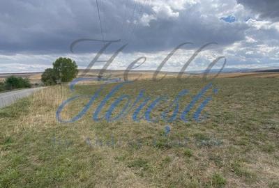 Teren de 1833 mp sat rediu - 3