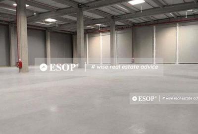 Spațiu comercial, de 5,000 mp, în Chitila - 1