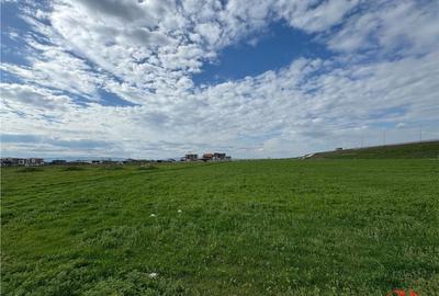 Teren intravilan de in Focsani Nord 2.636 mp - 4