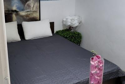 Apartament cu 2 camere nedecomandat în Central - 5