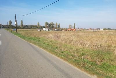 Teren de 5000 mp, în Șag - 1