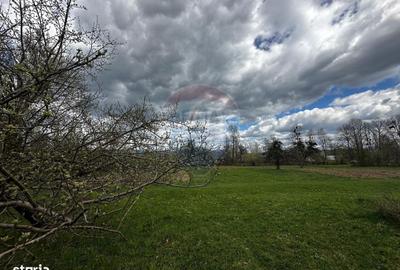 Spațiu comercial, în Groși - 4