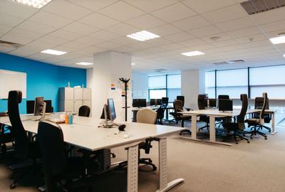 Tudor Vladimirescu - spatiu birouri clasa A, READY TO MOVE - 2