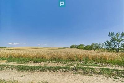 Teren intravilan + extravilan in Remetea Mica - 9