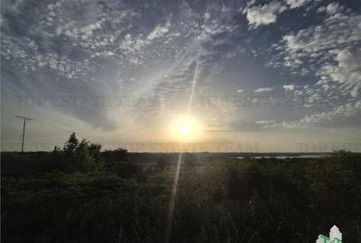 Teren intravilan Palazu Mare-zona linistita-vedere lac Teren intravilan Palazu Mare-zona linistita-vedere lac - 3