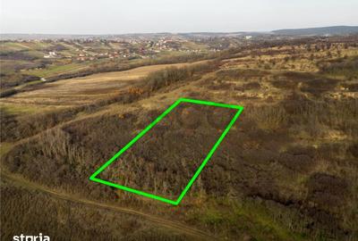 Teren de 4278 mp, în Paleu - 3