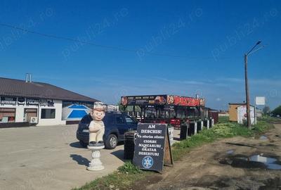 Teren de 600 mp, în Frumușani - 3