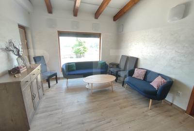 Casa vacanta 5 camere Paltinoasa, zona excelenta, in circuit turistic! - 9