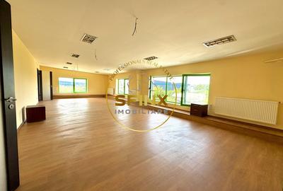 Hala si birouri zona Mogosoaia sos Odai - 7