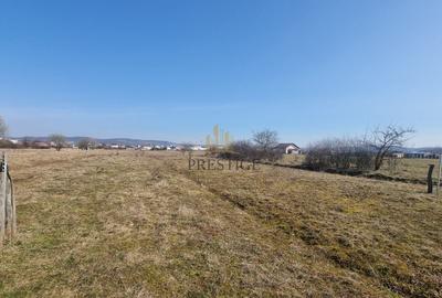 Teren agricol extravilan de 1000 mp, în Șelimbăr - 9