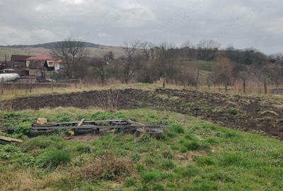 Casa Aghiresu Casa Aghiresu - 4