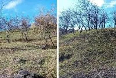 Teren cota parte 1/2, Sat Vistieru, ID: R2809860 - 3