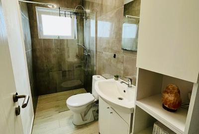 Proprietar vad casa Mosnita Veche tip SAD Proprietar vad casa Mosnita Veche tip SAD - 6