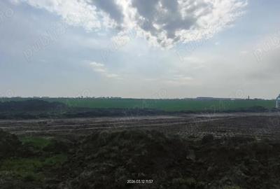 Teren de 67000 mp, în Aradului