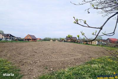 Spațiu comercial, în Lunca Calnicului - 2