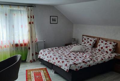 Casa -vila de vanzare, zona turistica, teren 750 mp - 14