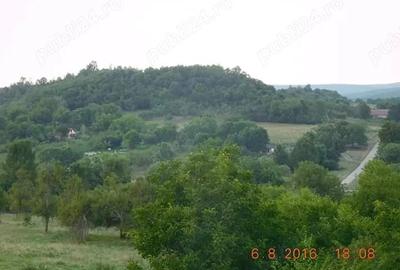 Casă cu Teren 2900 Mp în Central - 4