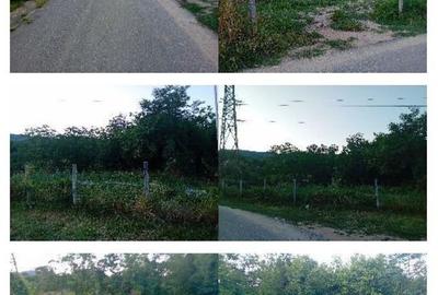 -teren intravilan, loc. Daesti, jud. Valcea - 4