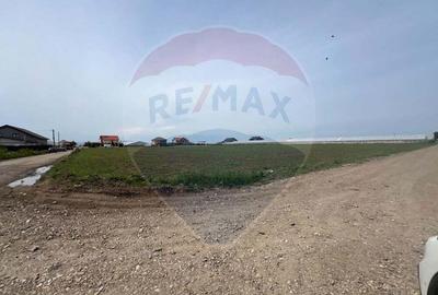 Teren de 17000 mp, în Matca - 2