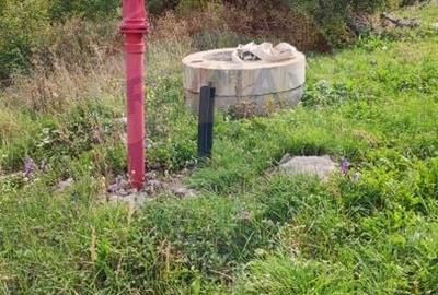 Teren Construcții intravilan de 1500 mp, în Damiș - 7