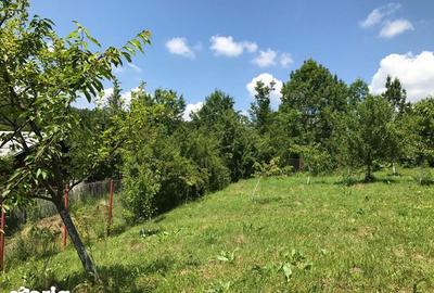 Teren de 660 mp, în Telega - 1