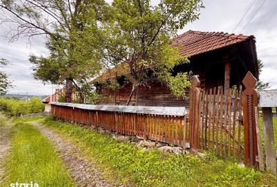 Casă cu 3 camere cu Teren 5300 Mp în Ocna Șugatag - 19