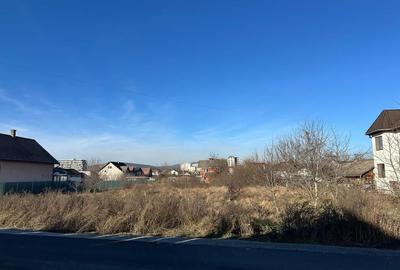 Teren Zavoaie 2210 mp intravilan - 3