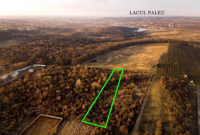 Teren intravilan de 4333 mp, în Săldăbagiu de Munte - 3