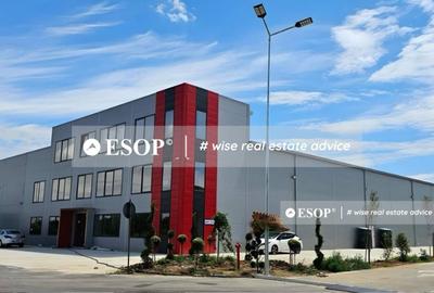 Vanzare hale industriale in zona Chitila, Rudeni, Ilfov, ID 15426.3 - 6