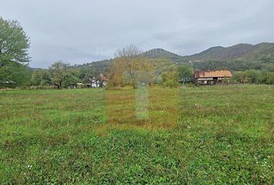 Teren intravilan de vânzare – 1.350 mp – Comuna Alexandru cel Bun - 6