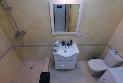 Apartament cu 2 camere decomandat în Griviței