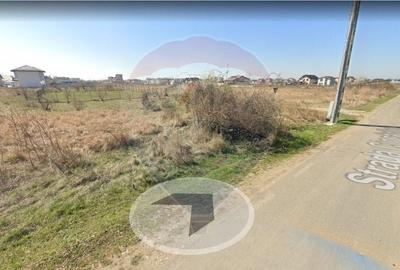 Teren Construcții intravilan de 621 mp, în Domnești - 7
