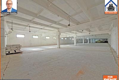Hale de inchiriat in 1 Decembrie Ilfov | NILS Imobiliare - 4