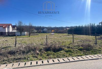 Spațiu comercial, în Dumbrăvița