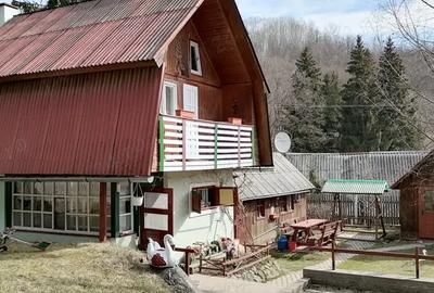 Casa de vacanta - 4