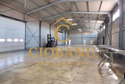 Spațiu comercial, de 1,030 mp, în Ișalnița - 11