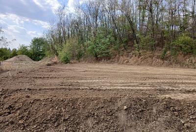 Spațiu comercial, în Viișoara - 8